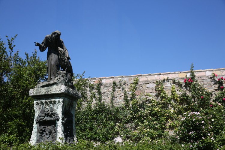 f57fb7223512a6bc9d4e923aab78da6d_1664835977_9969.jpg