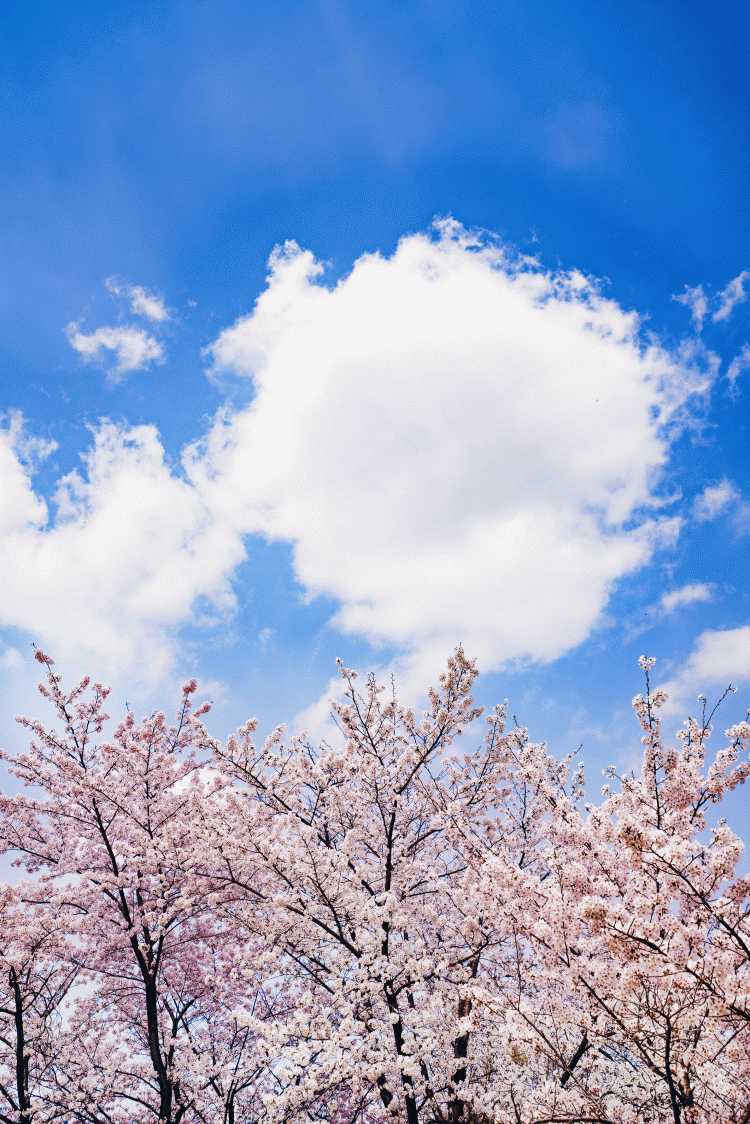 df9ba390494669a339db14a6a6b38338_1668561564_7389.gif