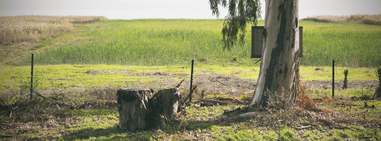 71909924991750c19a7b573a380ec680_1675642805_933.gif