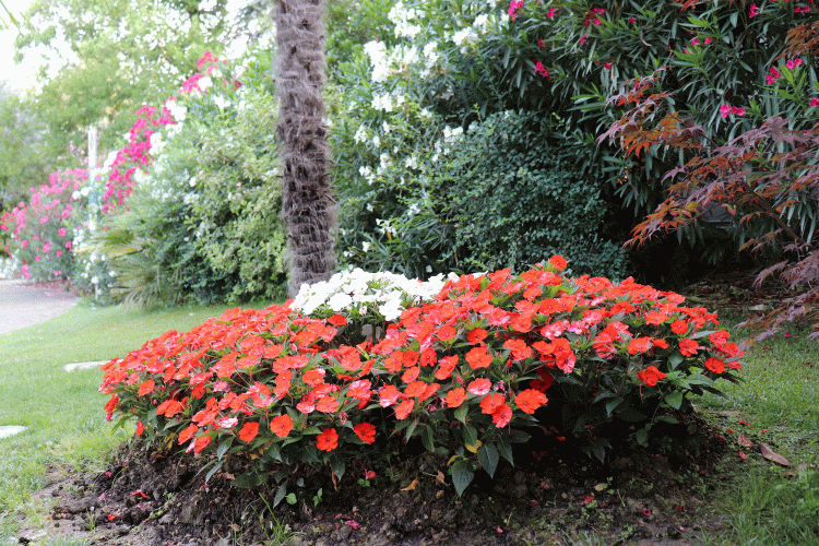 1a3c81987d957fb0554cf6b506065479_1678324014_4553.gif