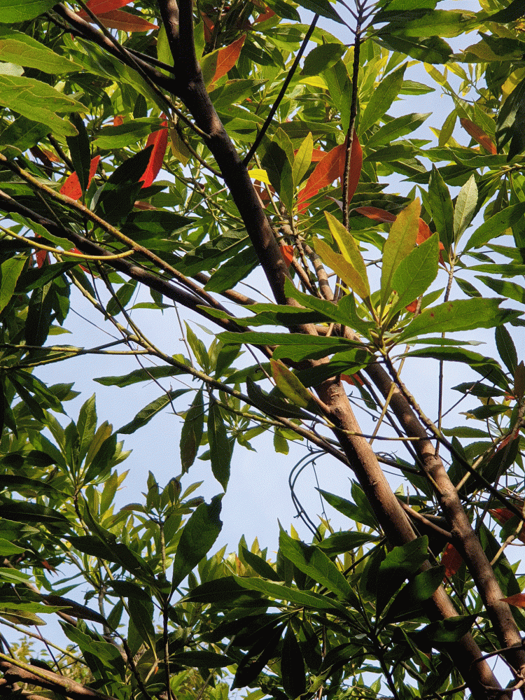 55b3a4987ea03801507003b9040c3dbc_1686179556_0694.gif