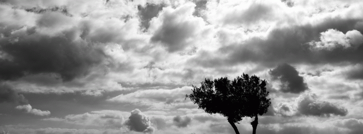 8020e9b51e1f169190c7c17f1367162b_1687262421_6068.gif