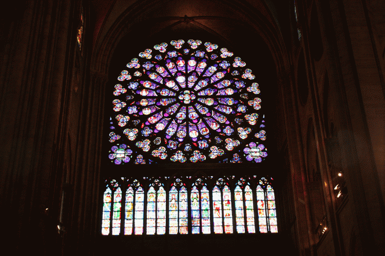 b7f78e53b81afdd2ec4ec5e569a8d12e_1691623498_515.gif
